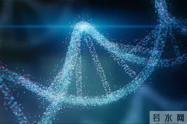 抗衰老新突破!干细胞外泌体调控衰老机制揭秘临床级产品标准落地