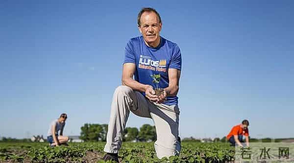 光合作用已改造成功，粮食产量不止翻一倍，粮仓将满爆棚！