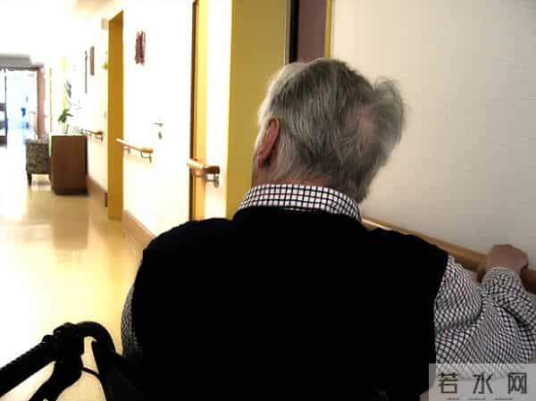 最新研究发现揭秘-头上每一根白发，可能都是抗病防御的外在表现