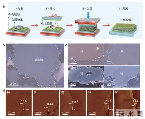 《物理世界》公布2025年度十大突破！中国团队成果入选