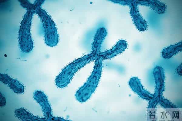 《科学》：破解癌细胞超级进化之谜！科学家终于找到癌细胞染色体碎裂的罪魁祸首