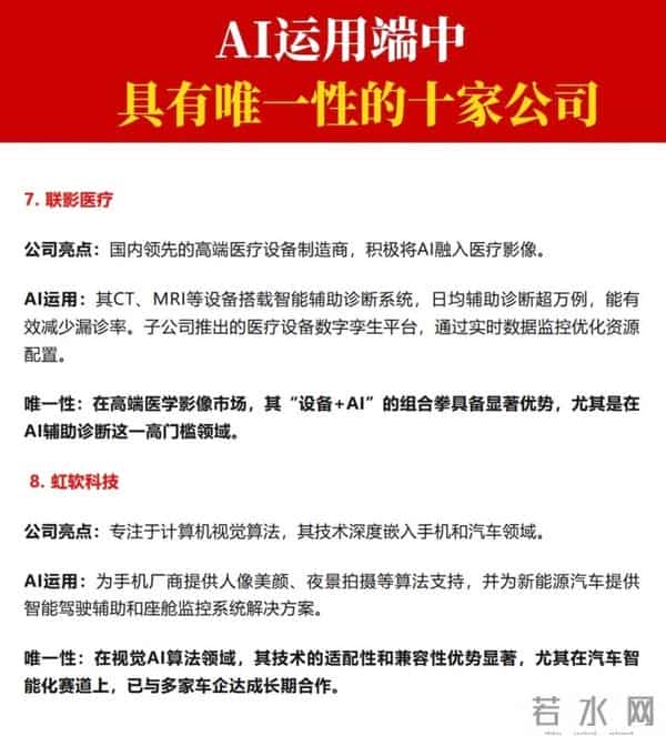 AI运用端，具有唯一性的十家公司