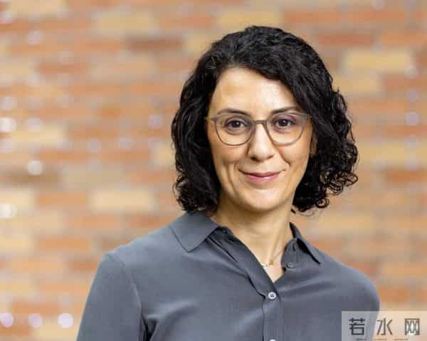 ACL Fellows 2025名单公布：西湖大学张岳与UIUC季姮入选