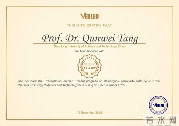 山东科技大学化学与生物工程学院唐群委教授当选Vebleo协会会士(Vebleo Fellow)