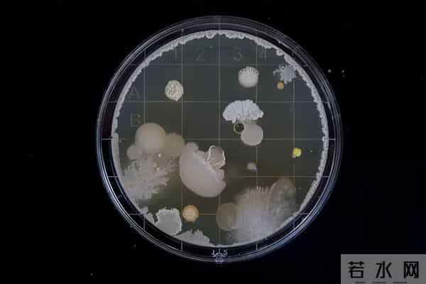 抗衰老新突破!干细胞外泌体调控衰老机制揭秘临床级产品标准落地