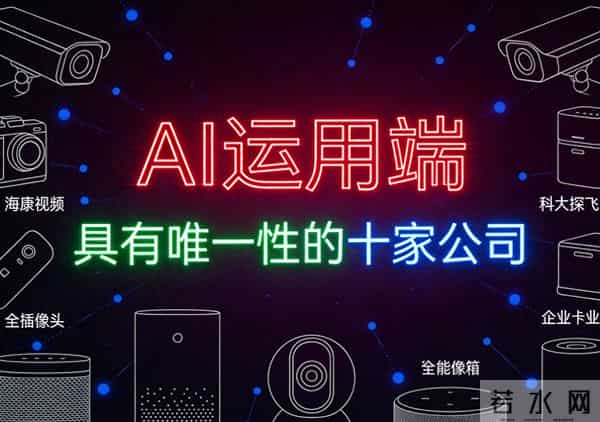 AI运用端，具有唯一性的十家公司