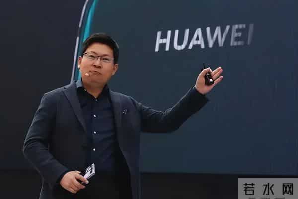 华为的Fellow，被誉为华为内部院士，享受的待遇比国家院士还高