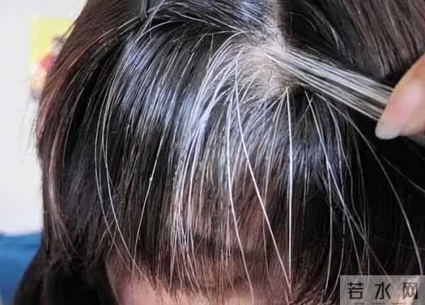 最新研究发现揭秘-头上每一根白发，可能都是抗病防御的外在表现