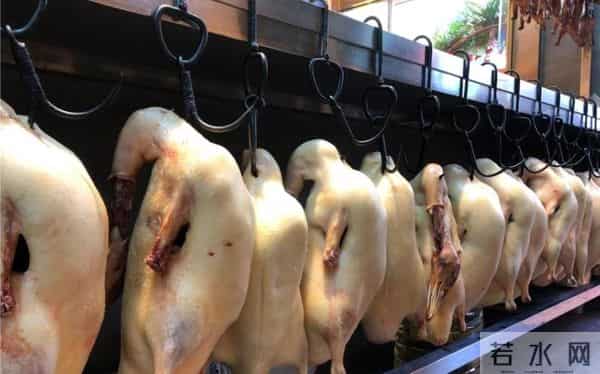 真相来了，一只活鸭上百块，一只烤鸭只要25元，你还敢吃吗？