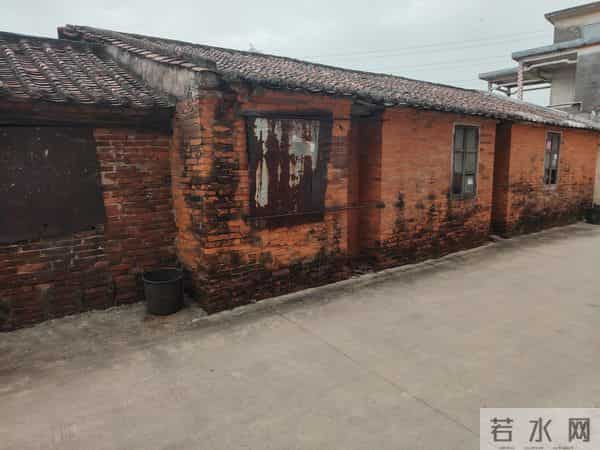 七十年代，黎子流提出的“公栏私养”办法，造就了一条专业养猪村