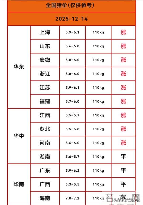 继续反弹！12月14日 生猪价格大范围上涨，猪价迎来“七连涨”！