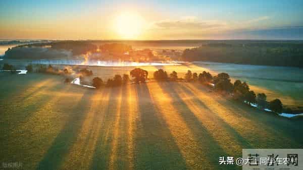 x镇x村x村民组农村土地二轮承包到期后再延长30年实施方案