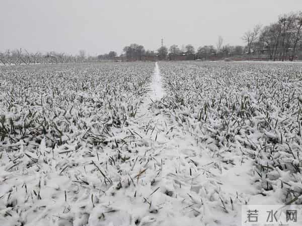 今日十月廿三，老话“十月廿三晴，农夫要发愁”，晴天有啥预兆？