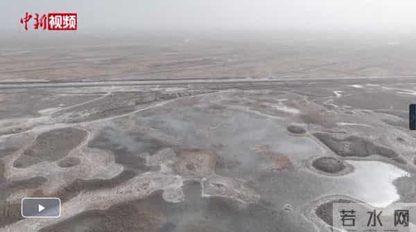 新疆4000亩沙漠盐碱水稻丰收