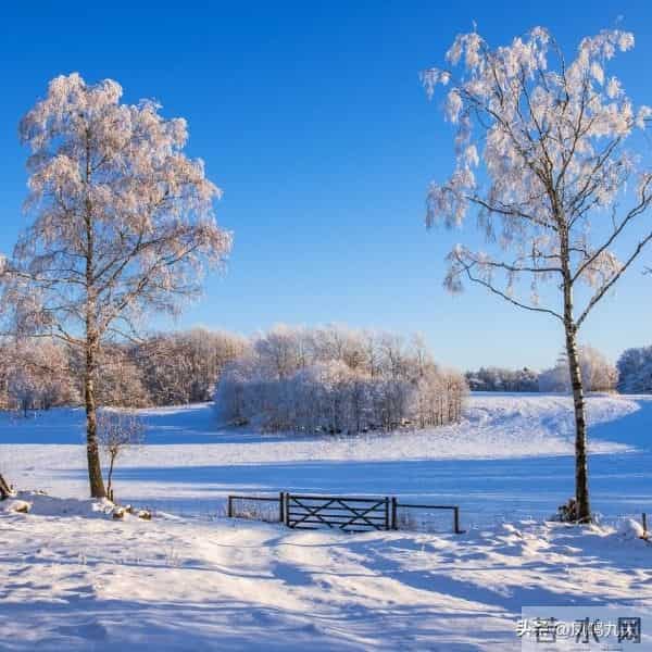 今年冬至交节在深夜！，农谚预兆：晚冬至冻死牛？准吗？早！了解