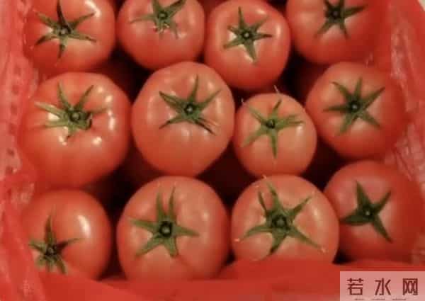 云南霜冻+山东暴雪，蔬菜价格再次起飞！盘点3种行情疯涨的农产品