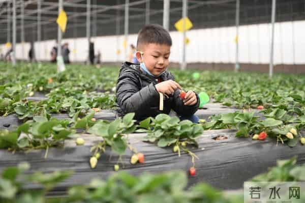 邯郸这4条旅游线路被全省推荐！走起~