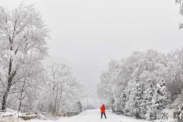 今年三九天不一般,“十年不遇”,今年冬天到底冷不冷?