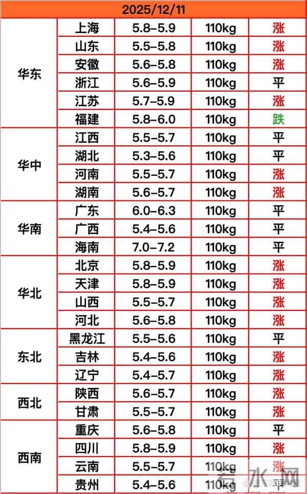 猪价“涨红了”！猪价“翻红增多”还真涨来劲了！2025.12.11今日生猪行情