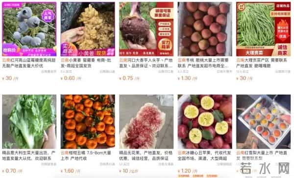 白菜1元-斤 小米辣25元-斤！云南农业有多牛？有人靠种地年销千万