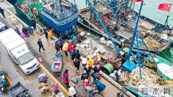 寒潮将至,渔港沸腾!今早,日照这里“鲜”货扎堆!这种鱼按筐买,4元一斤!