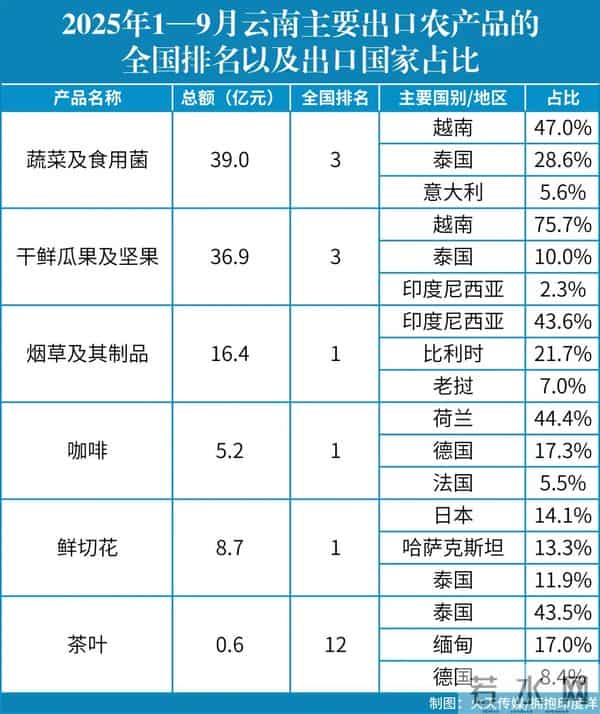 云南当前最紧要的事：还得靠全世界来支持