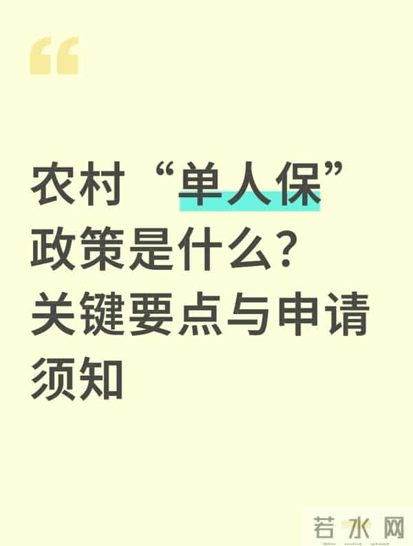 农村“单人保”政策是什么？关键要点与申请须知
