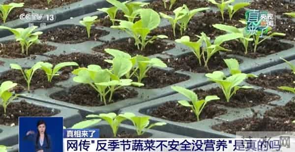 网传“反季节蔬菜吃了等于白吃”是真的吗？专家辟谣