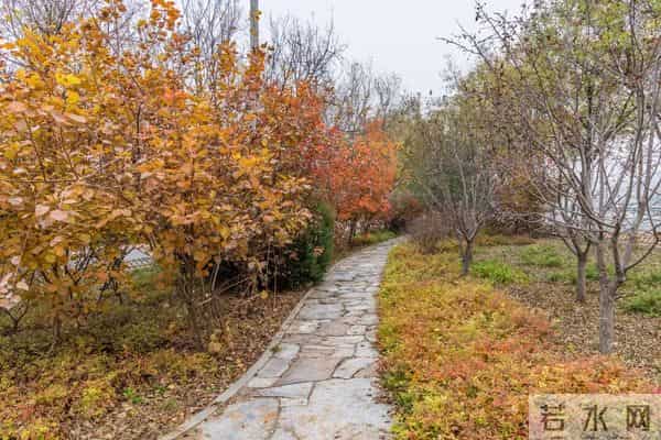 房山这四个村打造市级花园村庄样板！看看有您家吗？