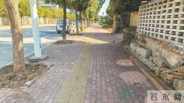 【一追到底】惠安县螺阳镇后窑路:公共空间种菜被清理