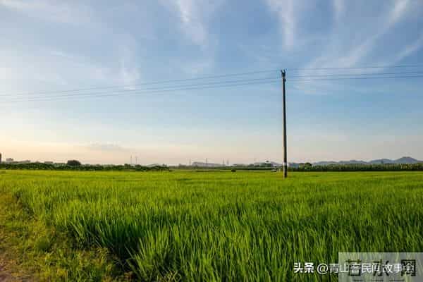 那年村里老人老了,嫂子去帮忙,发生的事,村民都说这事不简单!