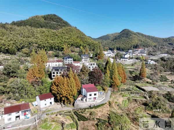 富阳这个网红村，游客车辆从山脚排到村里！