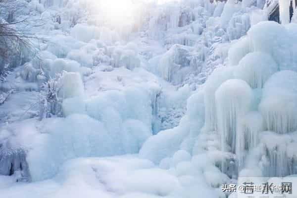 老话言“白天冬至暖烘烘”，今年冬至几点？今冬很冷？早看早了解