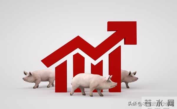 多地悄然飘红，年后这波行情养户须提前布局！丨附明日12.12猪价