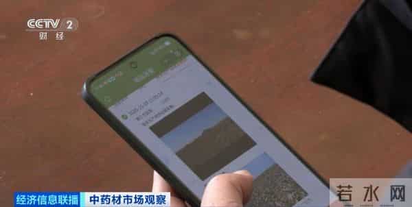 还没采摘，就被订购一空！这些产品成香饽饽！千亿级风口，来了