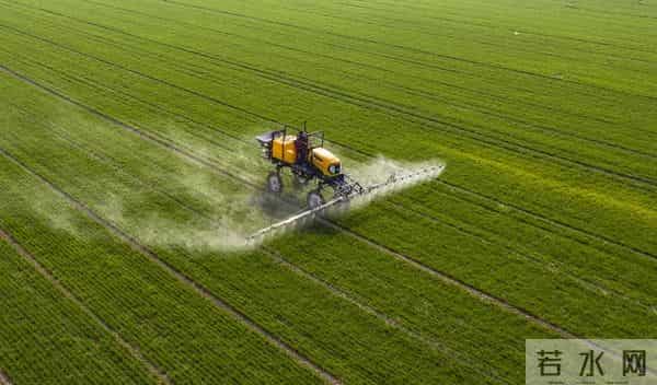 尿素这样用，肥效拉满不浪费