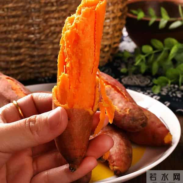 中国哪里的红薯最好吃？认准这3个品种买，软糯香甜，细腻无纤维