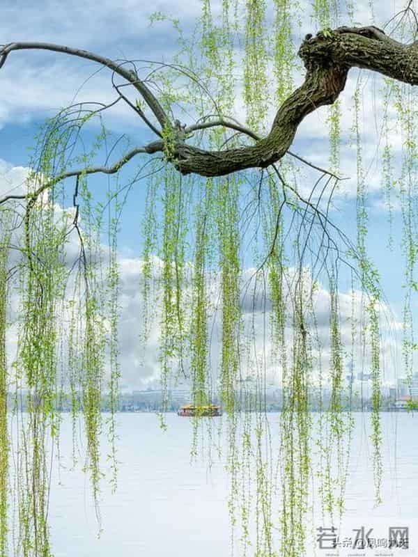 发现没？2026立春撞上六九头！老话“双春”遇上暖开头，有啥说道