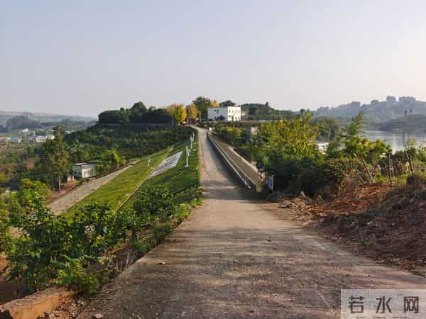 四川明确：承包期内，发包方可以收回五类承包地