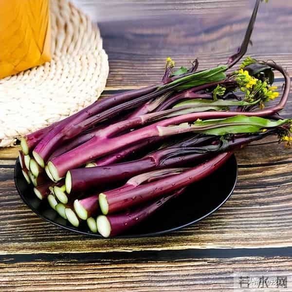 冬储白菜成回忆!全国果蔬随便挑,菜篮子藏着大秘密