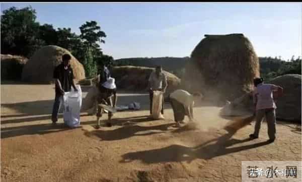 这是一个真实的故事故事发生在七八十年代偏僻小村庄《四十五》