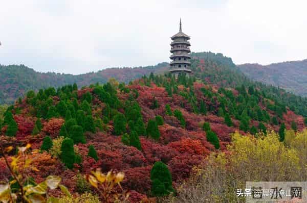 请想好，现在当村书记，就是坐在了火上烤