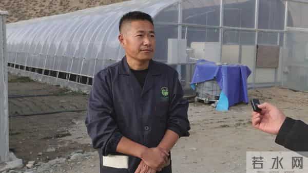 西藏林芝产的白对虾，凌晨直达拉萨！