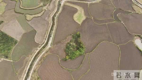 机械轰鸣忙建设！贵州203万亩高标准农田新建任务有序推进