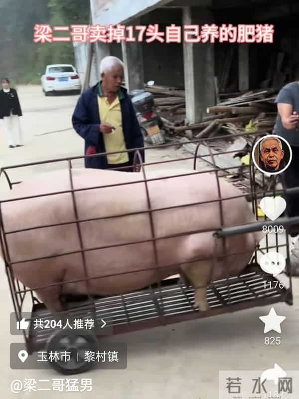 广西梁二哥娶小30岁妻育15孩,80岁还亲自建几百平新房,全家上阵