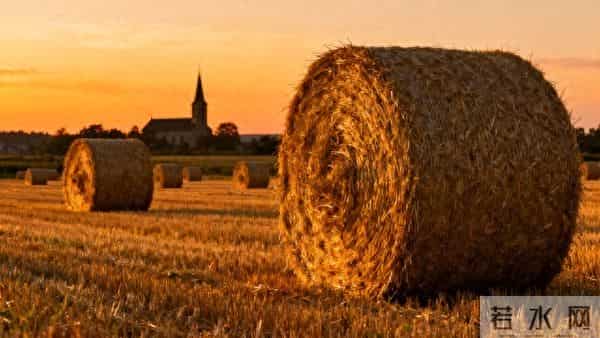 村民监督举报，农村“三资”大整治。