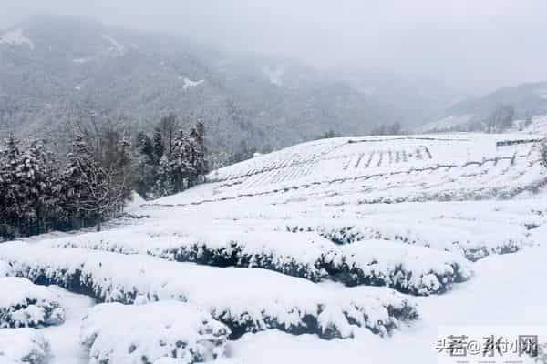 今冬数九时间表来了！从哪天开始入九？春节在几九？过年很冷吗？