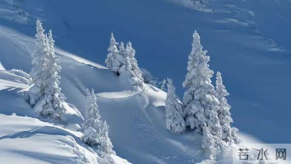 21号入九，今年入九不一般，总结“3大特点”，今冬会很冷吗？