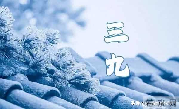 今冬三九全在冬月，千年农谚竟成真？今年是暖冬还是冷到哭？