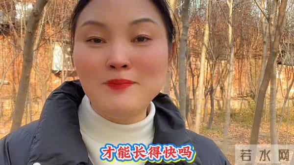 冬天养鸡小妙招，快看！